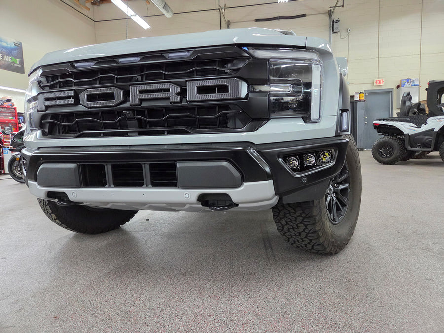 Raptor